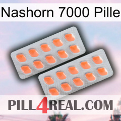 Rhino 7000 Pill 27